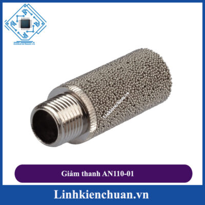 Giảm thanh AN110 01