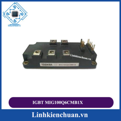 IGBT MIG100Q6CMB1X